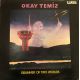 Okay Temiz ‎– Drummer Of Two Worlds