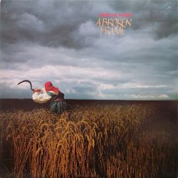 Depeche Mode ‎– A Broken Frame Plak-LP