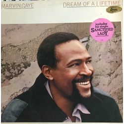 Marvin Gaye ‎– Dream Of A Lifetime Plak