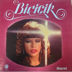 Biricik ‎– Hasret Plak-lp