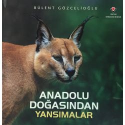 Anadolu Doğasından Yansımalar