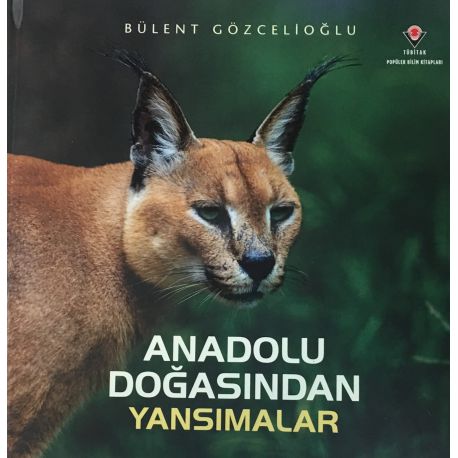 Anadolu Doğasından Yansımalar