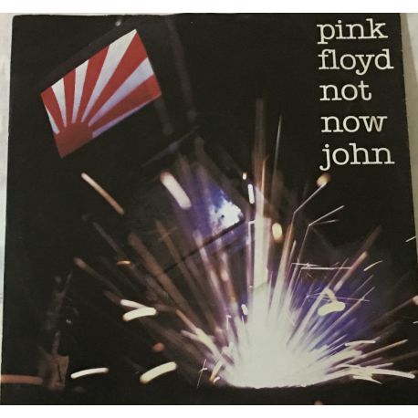 Pink Floyd ‎– Not Now John