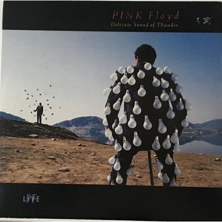 Pink Floyd ‎– Delicate Sound Of Thunder 2lp