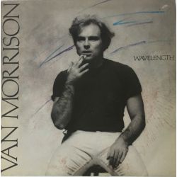 Van Morrison ‎– Wavelength Plak-LP