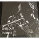 Chillout Trumpet LP