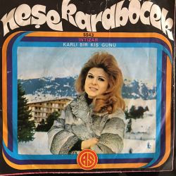 Neşe Karaböcek ‎– İntizar / Karlı Bir Kış Günü Plak