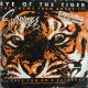 Survivor ‎– Eye Of The Tiger
