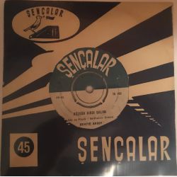 Behiye Aksoy ‎– Rüzgar Kırdı Dalımı / İçimdesin İçimde Plak