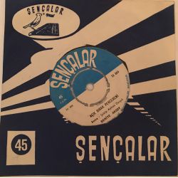 Behiye Aksoy ‎– Açık Bırak Pencereni - Sepetimde Narım Var Plak