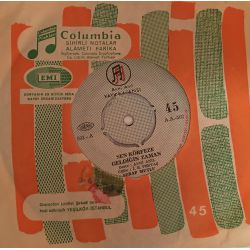 Serap Mutlu Akbulut – Sen Körfeze Geldiğin Zaman / Sevmek Acı Bir Arzu  Plak