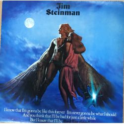 Jim Steinman ‎– Bad For Good Plak