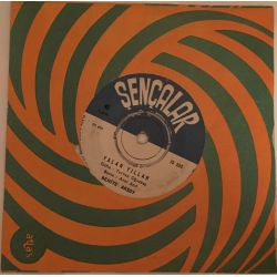 Behiye Aksoy ‎– İçimde Bin Türlü Keder / Yalan Yıllar Plak