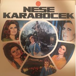 Neşe Karaböcek ‎– Neşe Karaböcek Plak (Depo Plağı)