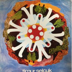Timur Selçuk ‎– Timur Selçuk Plak
