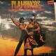 Flamencos Aus Dem Sonnigen Spanien Plak