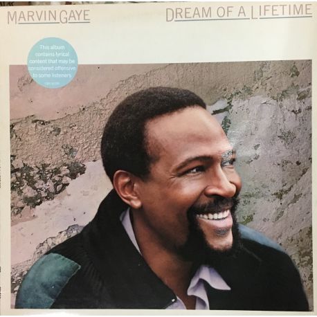 Marvin Gaye ‎– Dream Of A Lifetime